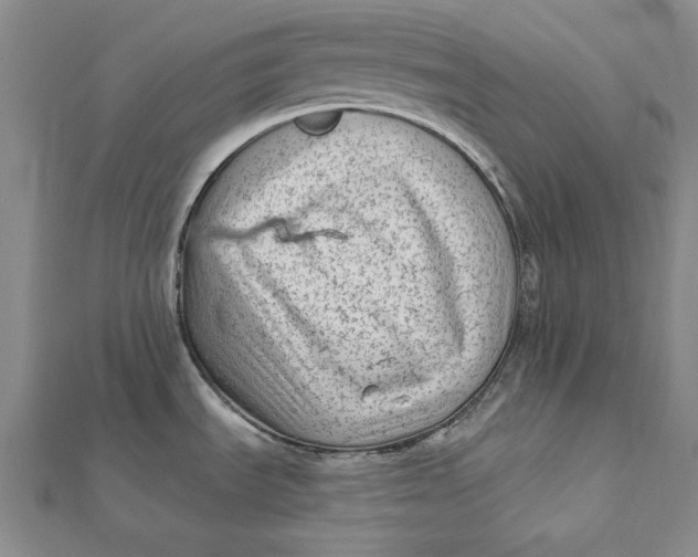 X0000112061535200908251009