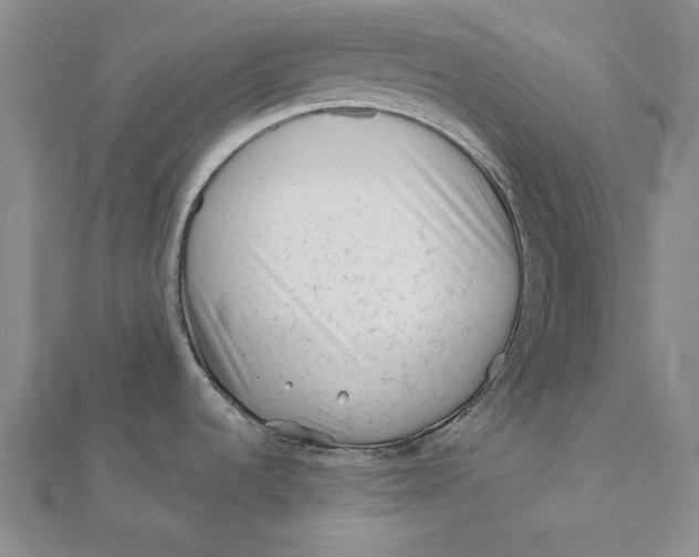 X0000112061536200908251009