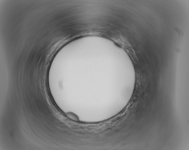X0000112060001200909011012