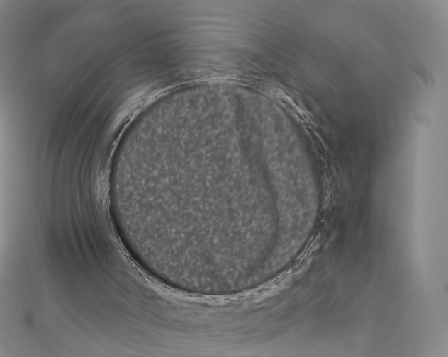 X0000112060002200909011012