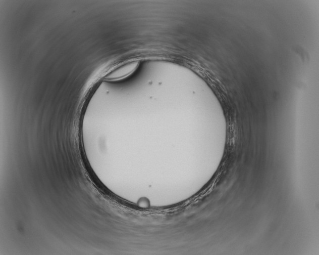 X0000112060004200909011012