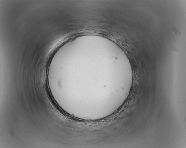 X0000112060005200909011012