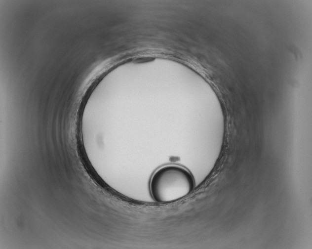 X0000112060007200909011012
