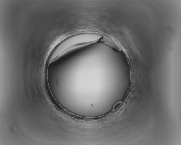 X0000112060008200909011012