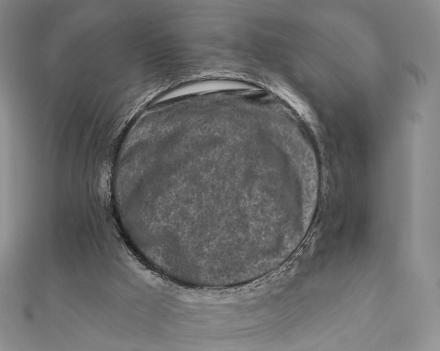 X0000112060009200909011012