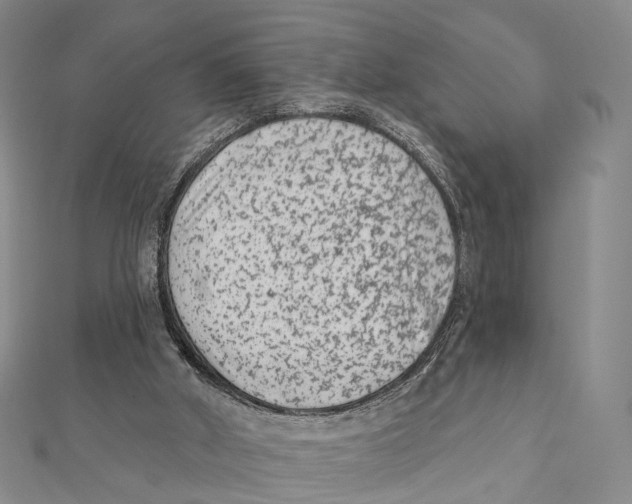 X0000112060010200909011012