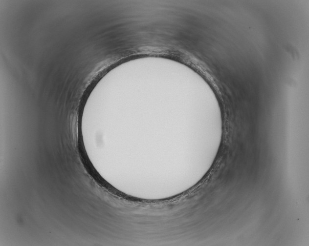 X0000112060011200909011012