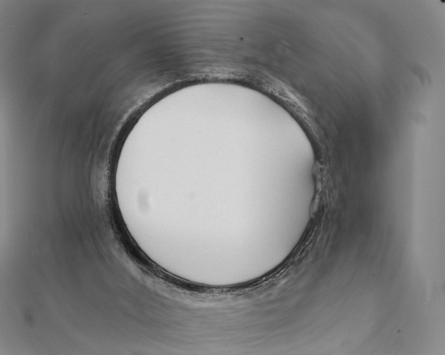 X0000112060012200909011012