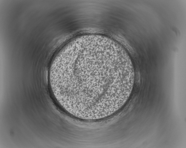 X0000112060014200909011011