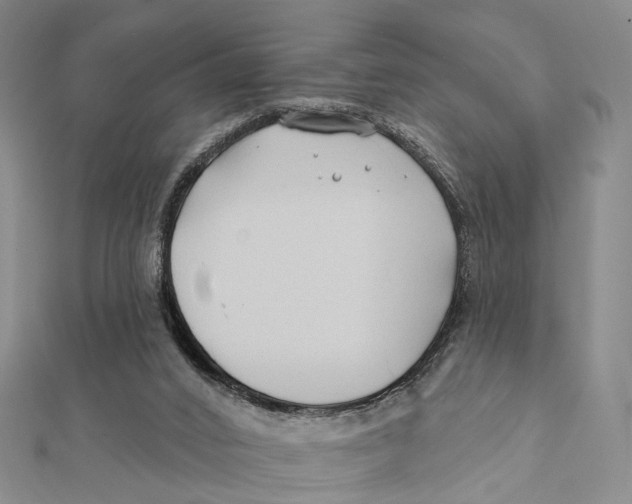 X0000112060016200909011011
