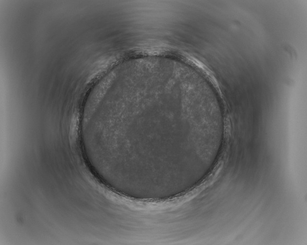 X0000112060018200909011011