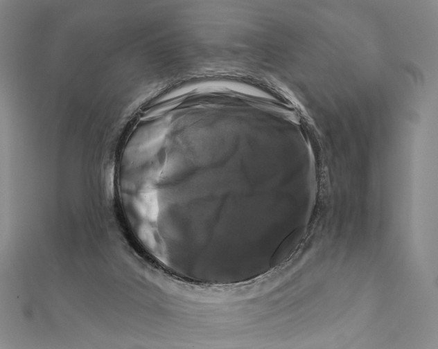 X0000112060019200909011011