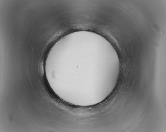 X0000112060020200909011011
