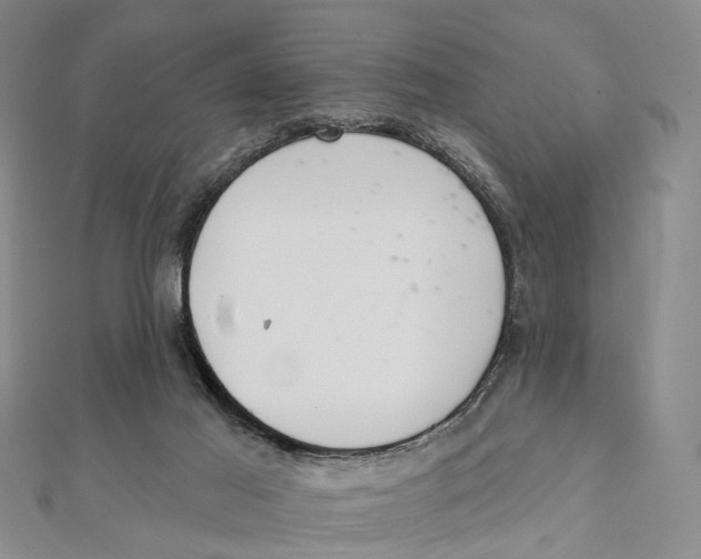 X0000112060021200909011011
