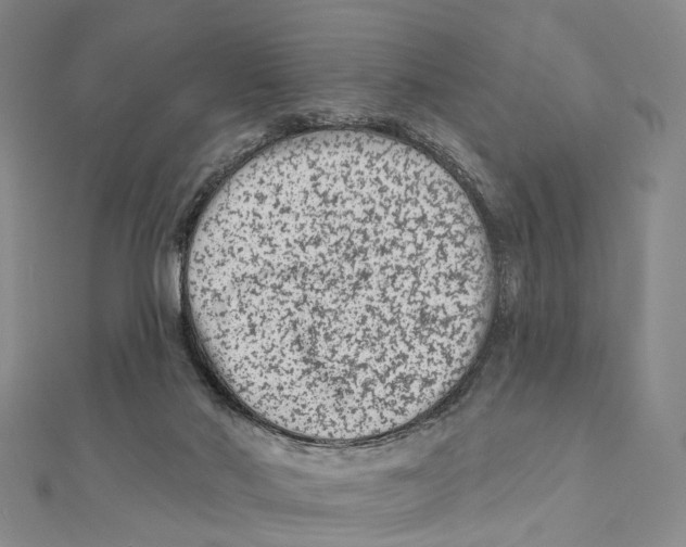 X0000112060022200909011011