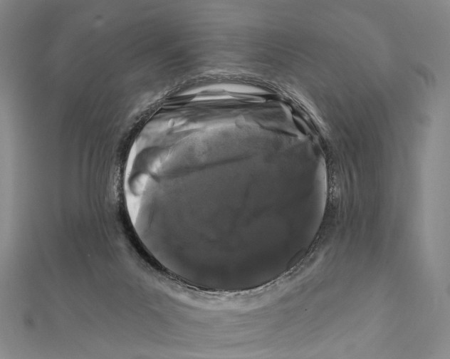 X0000112060023200909011011