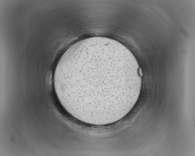 X0000112060024200909011011