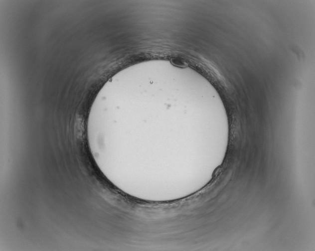 X0000112060025200909011011