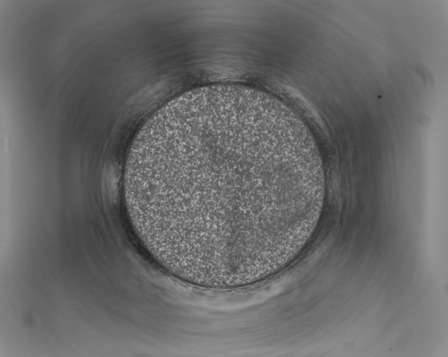 X0000112060026200909011011