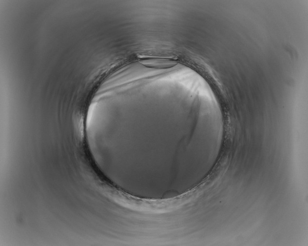 X0000112060027200909011011
