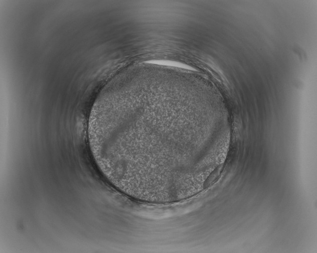 X0000112060029200909011011
