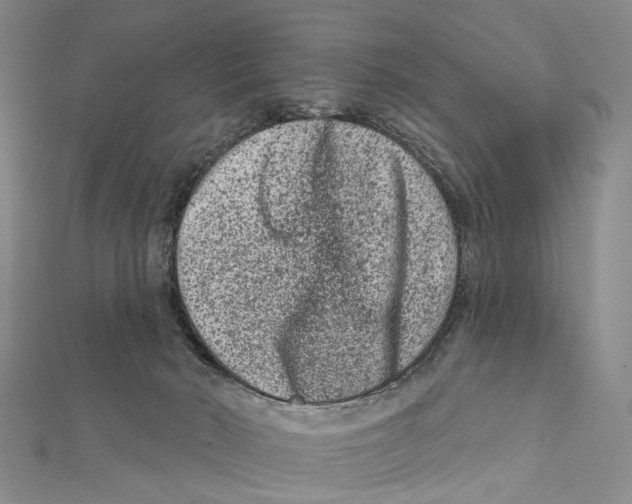X0000112060030200909011011