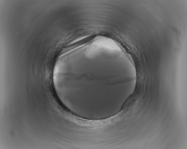 X0000112060031200909011011
