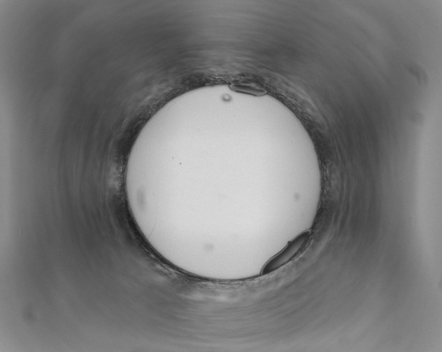 X0000112060033200909011011