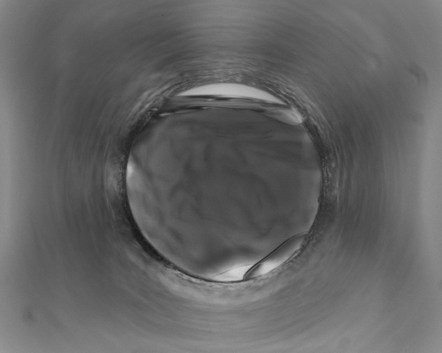 X0000112060035200909011011
