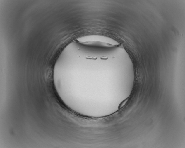 X0000112060036200909011011