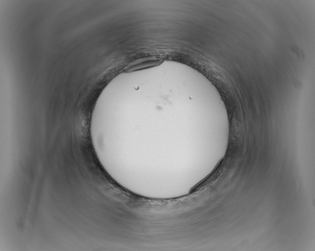 X0000112060037200909011011