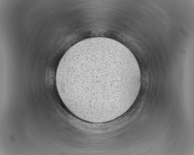 X0000112060038200909011011