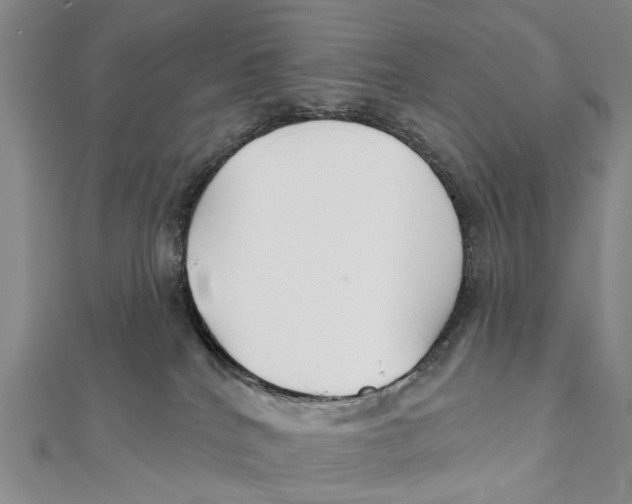 X0000112060040200909011011