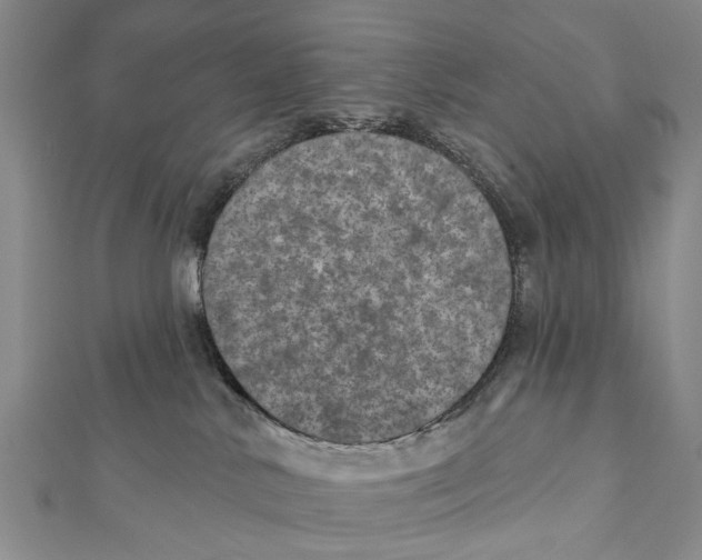 X0000112060042200909011011