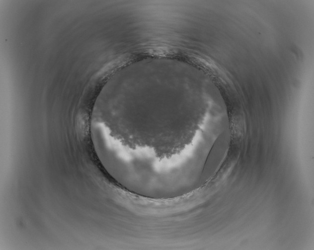X0000112060043200909011011