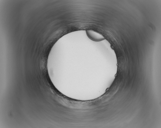 X0000112060044200909011011