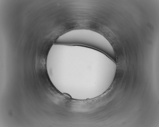 X0000112060045200909011011