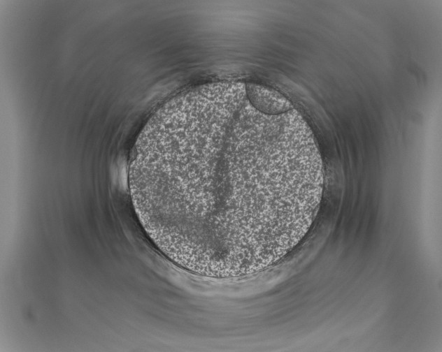 X0000112060046200909011011