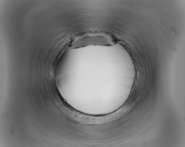 X0000112060048200909011011