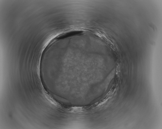 X0000112060052200909011010