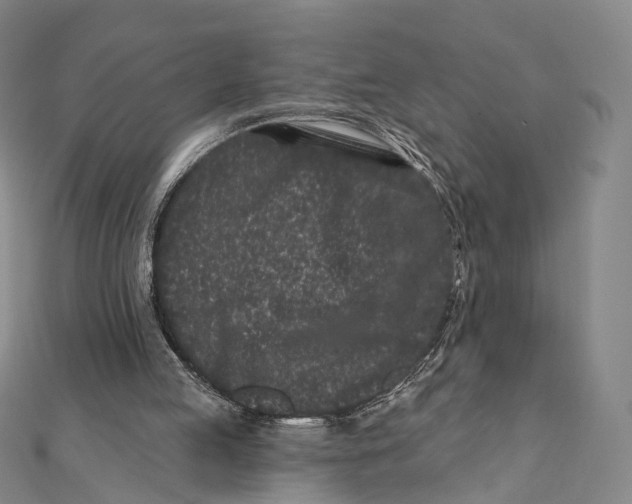 X0000112060053200909011010