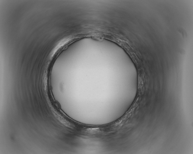 X0000112060054200909011011