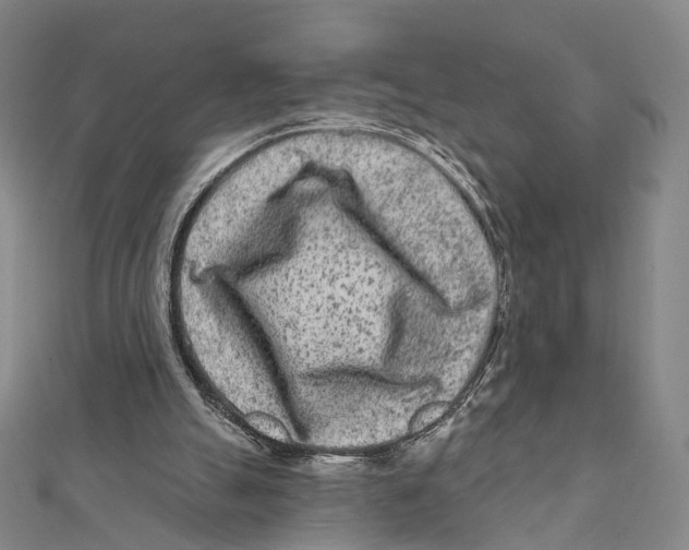 X0000112060055200909011011