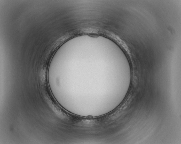 X0000112060057200909011011