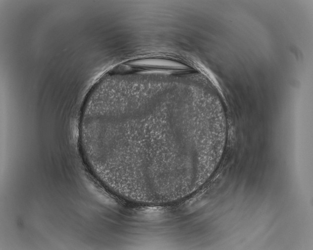 X0000112060059200909011011