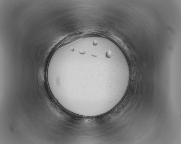 X0000112060060200909011011