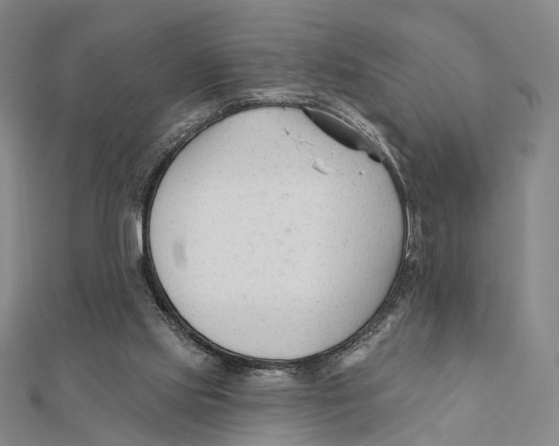 X0000112060061200909011011