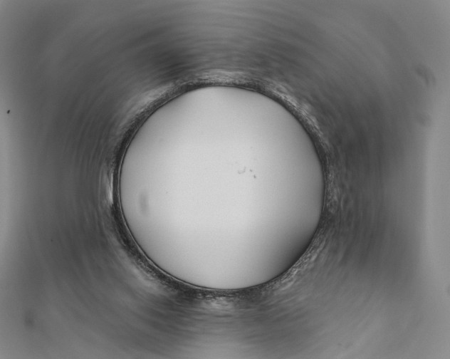X0000112060062200909011011