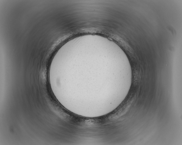 X0000112060064200909011011