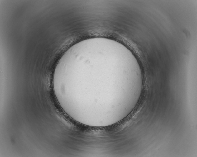 X0000112060065200909011011
